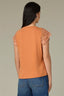 Roasted Carrot Natural Extended Cap Sleeve Scoop Neck Scallop Crochet Detail Straight Hi-Low Hem Plus Size Knit Top